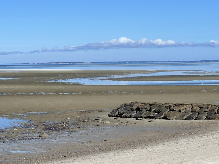 Intermediate: Saint’s Landing Beach-Eddy Bay Trail, Brewster ~4 miles (Monday)