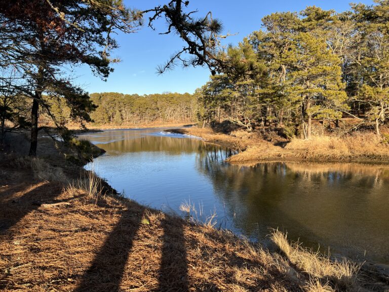 Intermediate/Advanced, Indian Lands, So Dennis, 3.5 miles (Thursday)