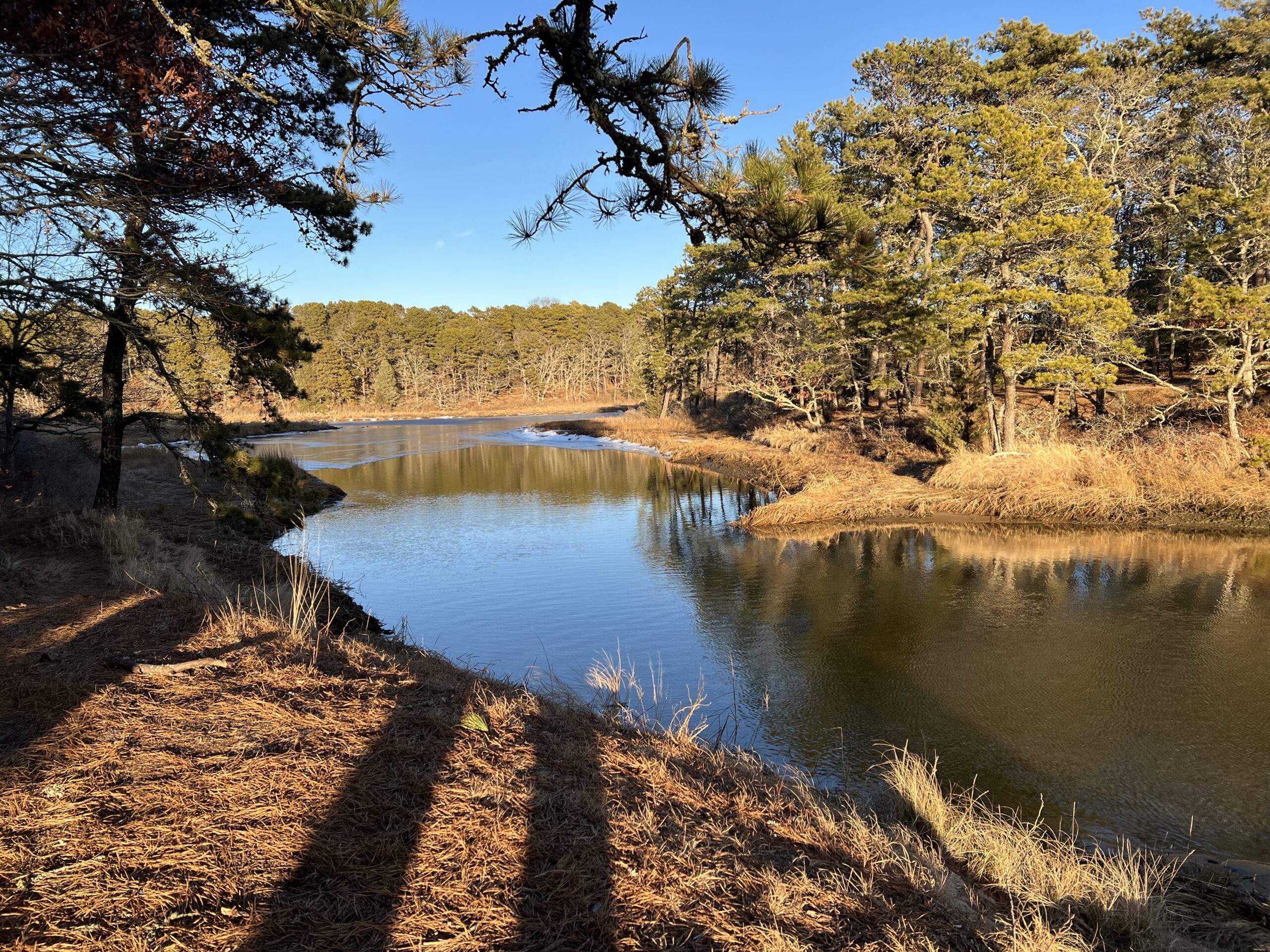Intermediate/Advanced, Indian Lands, So Dennis, 3.5 miles (Thursday)