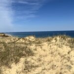 Intermediate: Marconi Heathlands & White Cedar Swamp Wellfleet, ~4 miles (Monday 6/1)