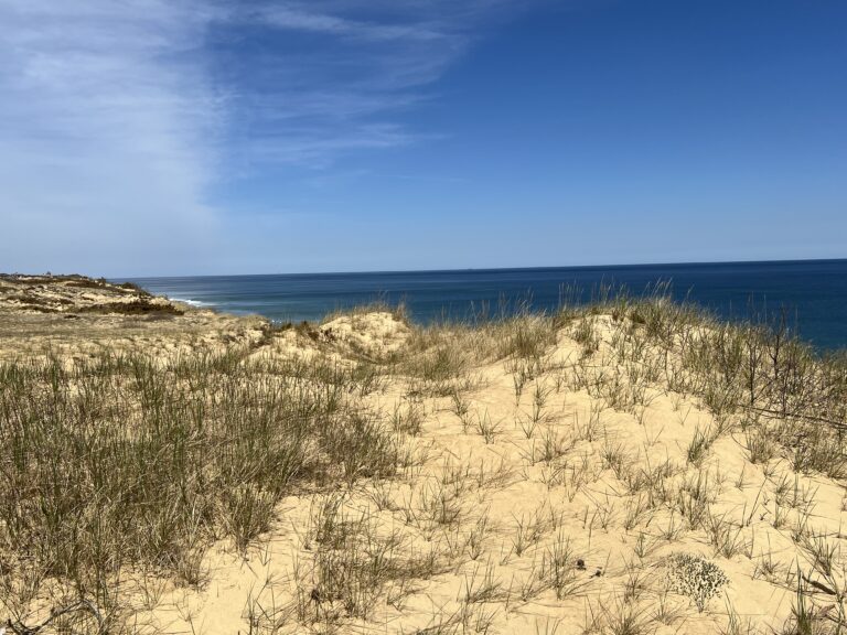 Intermediate: Marconi Heathlands & White Cedar Swamp Wellfleet, ~4 miles (Monday 6/1)