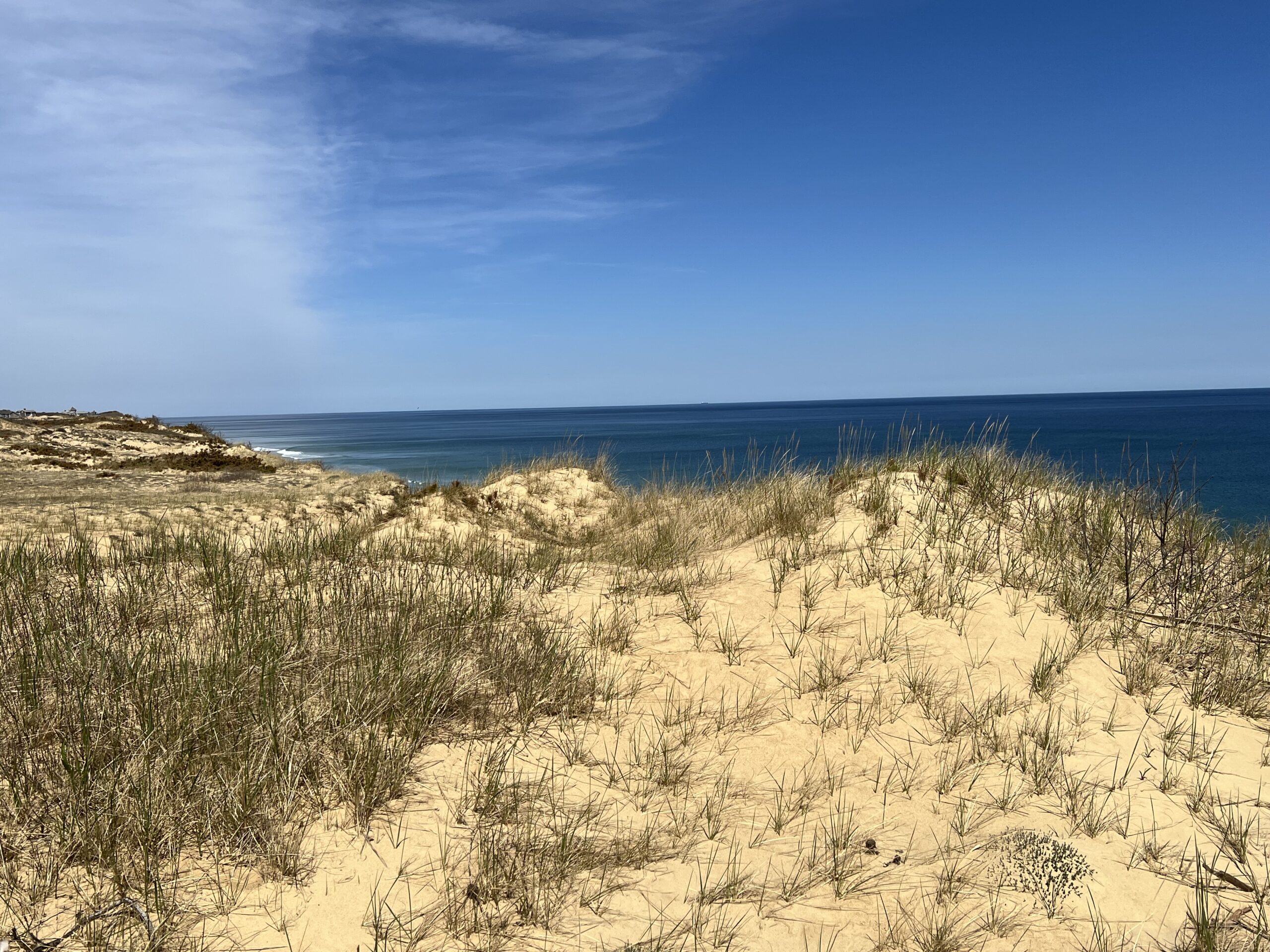 Intermediate: Marconi Heathlands & White Cedar Swamp Wellfleet, ~4 miles (Monday 6/1)