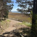 Inter/Adv, Salt Pond VC-Doane Rock-Coast Guard Beach, Eastham, 4.8 mi (Sunday)