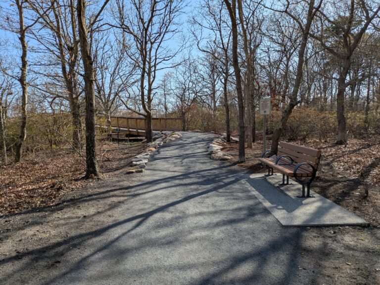 Beginner/Recovery, West Yarmouth , 1 – 2 mil, Sunday