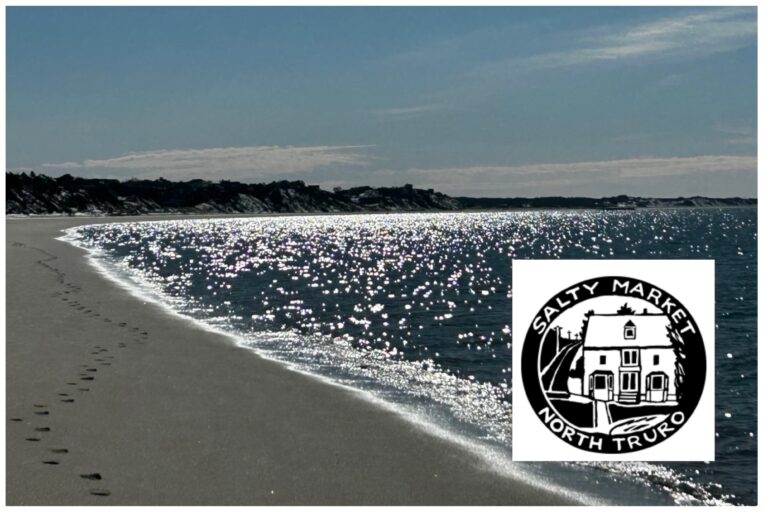 Intermediate: Bayside Beach & Big Views + Tacos/Tapas, North Truro, ~3.4 miles (Friday 6/12)