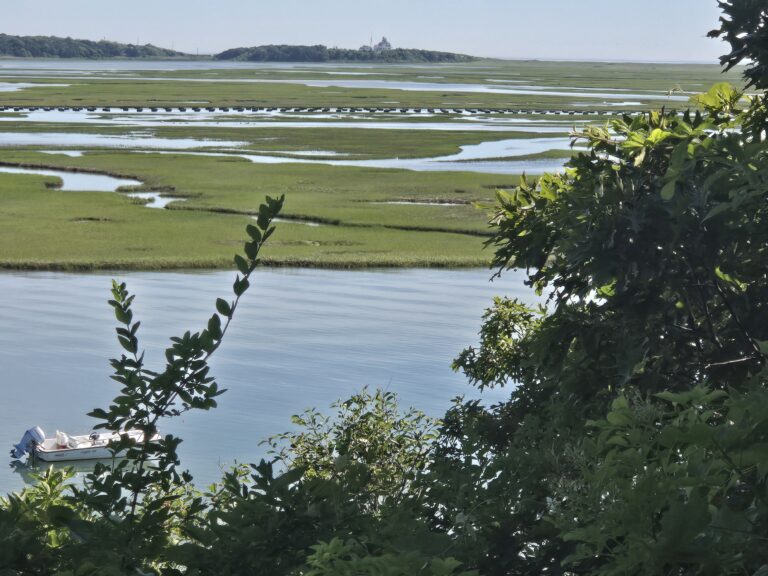 All Levels, Fort Hill, Eastham, 1.8 Miles, Tuesday