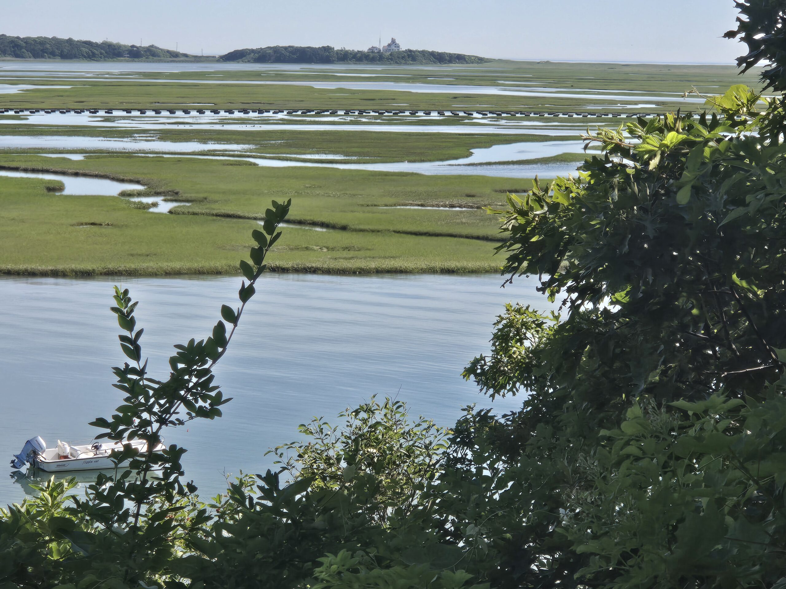 All Levels, Fort Hill, Eastham, 1.8 Miles, Tuesday