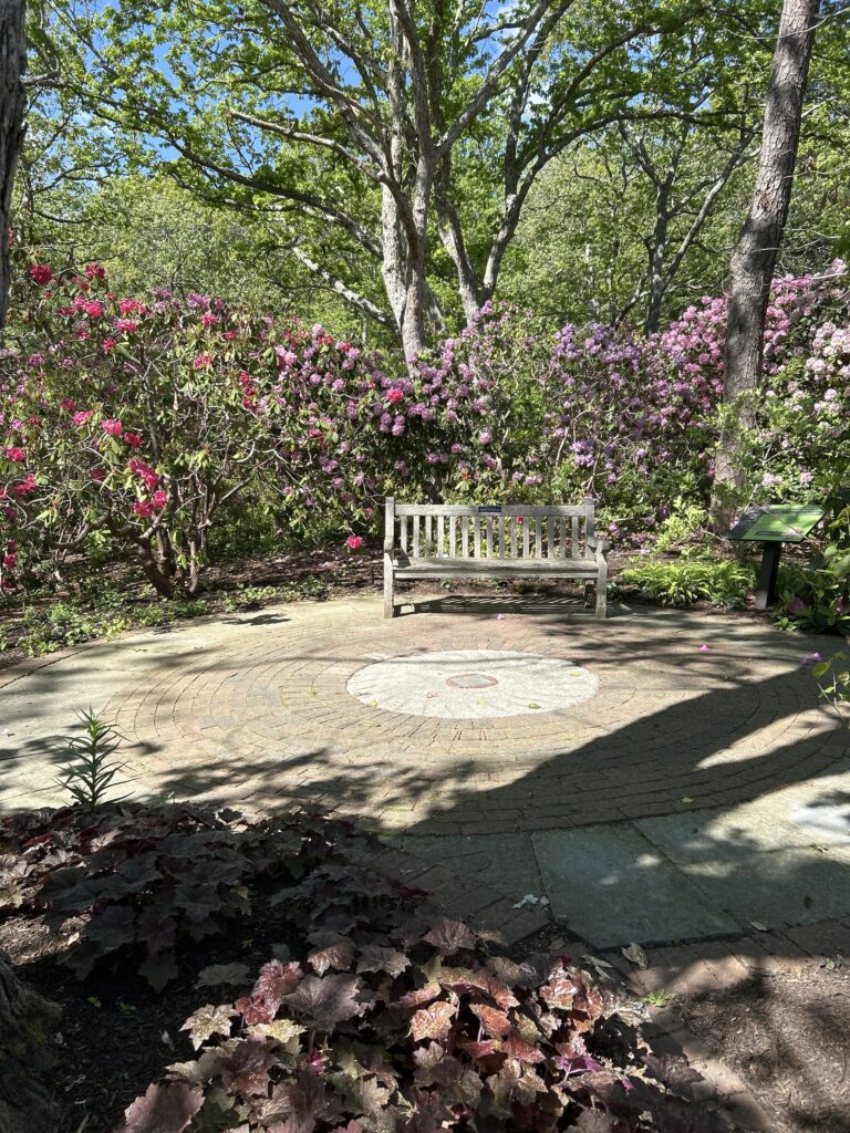 Beginner, Heritage Gardens, Sandwich, 1.5 miles, Wednesday