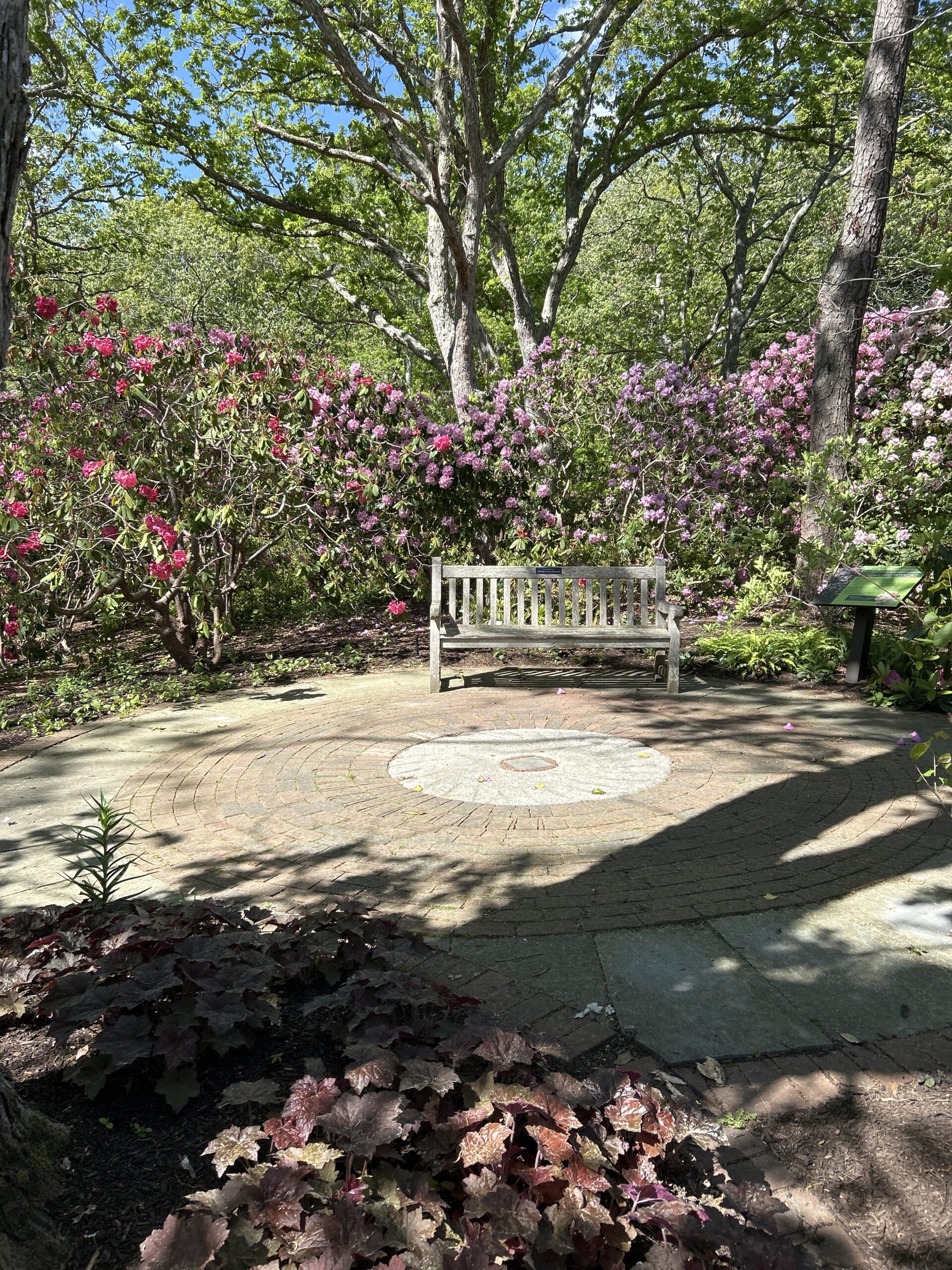 Beginner, Heritage Gardens, Sandwich, 1.5 miles, Wednesday