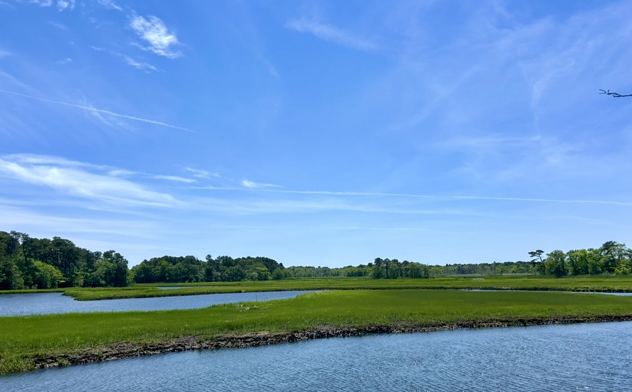 Beginner: Bell’s Neck Walk +  Optional Book Swap, Harwich, ~3 miles, Friday 6/19