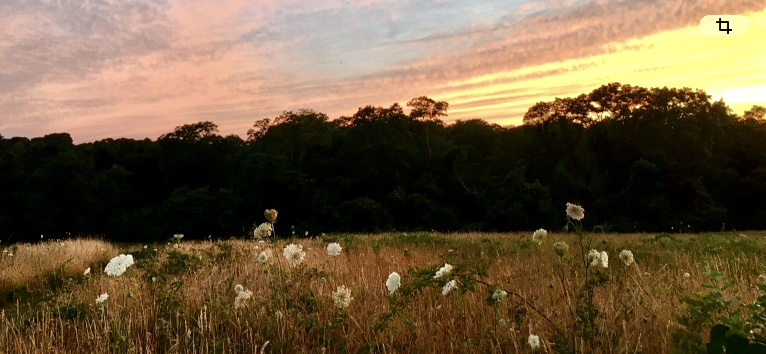All Levels, Living in a Postcard: Nature Reflection, Sketching, and Journaling at Fort Hill, Eastham, 1.5 miles, Tuesday