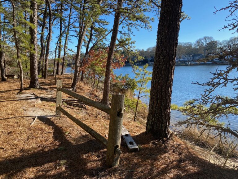 High Beginner/Low Intermediate, Indian Lands, South Dennis, 1.5 miles, Saturday