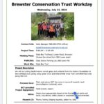Brewster Conservation/CCNW Eddy Bay Cleanup