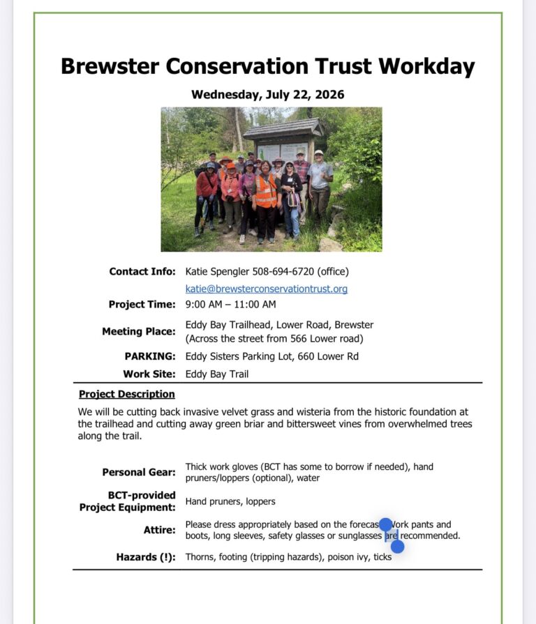 Brewster Conservation/CCNW Eddy Bay Cleanup