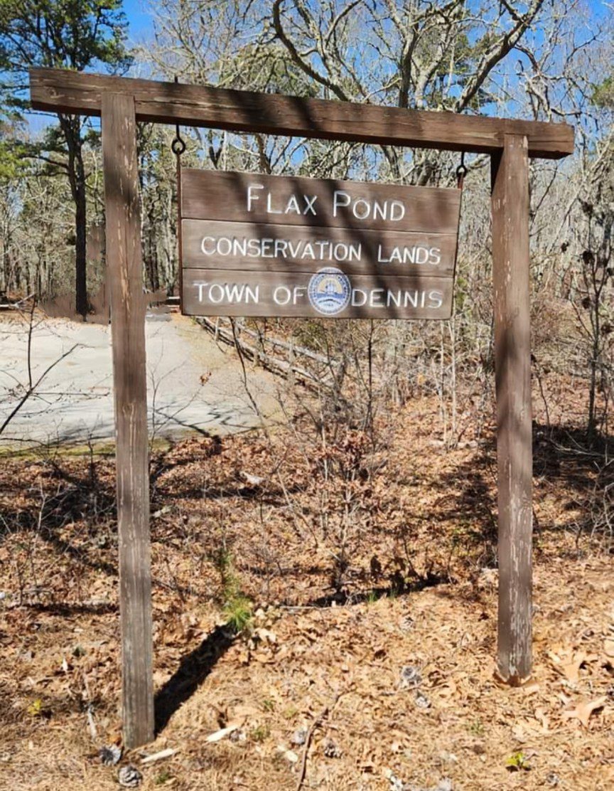 Hi Beginner/Lo Intermediate, Flax Pond, DENNIS, 2.25 miles, Monday