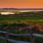 All Levels: Fort Hill/Hemenway, Eastham 1.75 miles, Wednesday