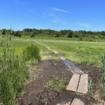 Intermediate: Drummer Boy Park; Wing Island, Brewster, ~2.9/3.6 (Monday 8/31)