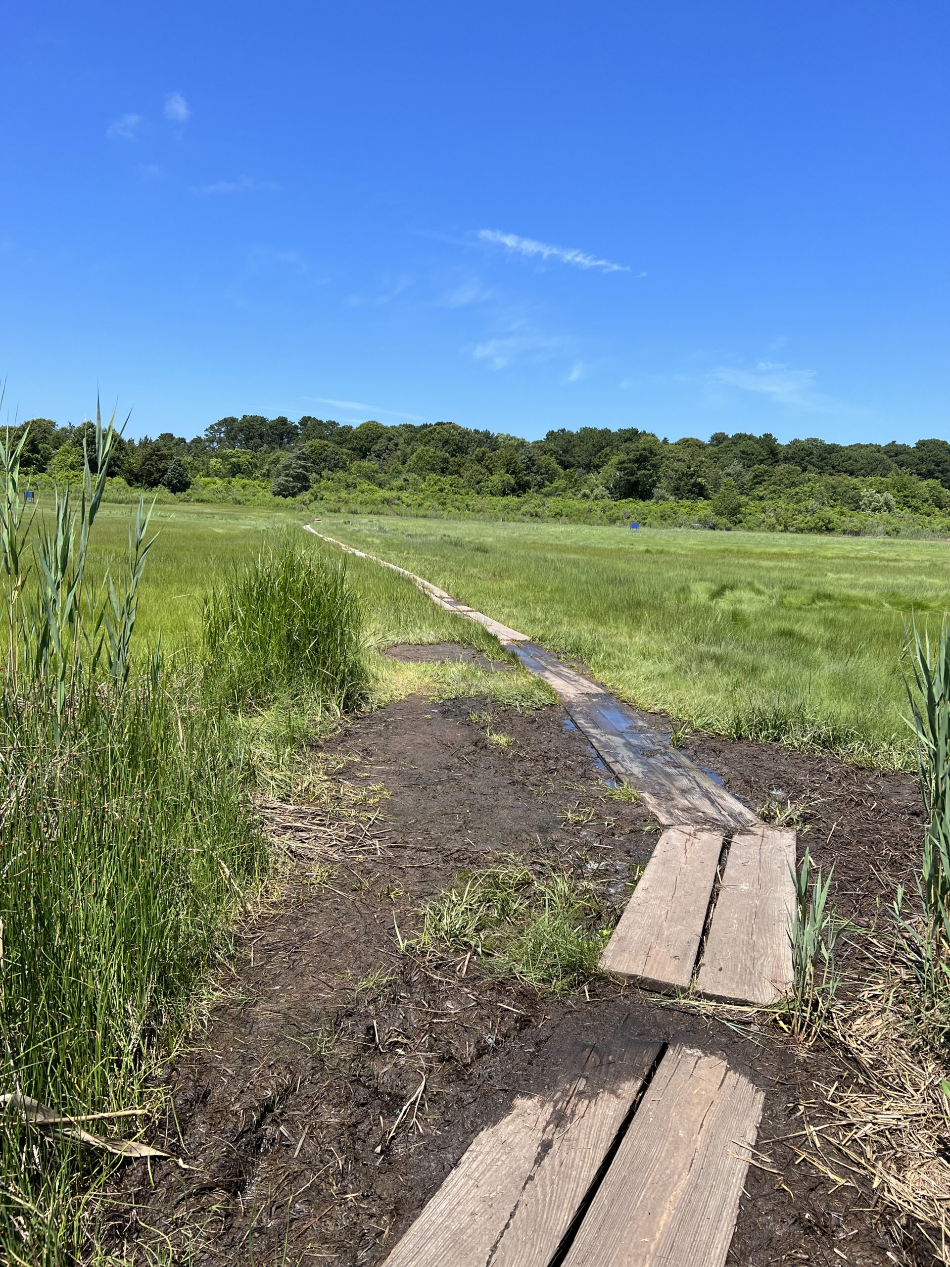 Intermediate: Drummer Boy Park; Wing Island, Brewster, ~2.9/3.6 (Monday 8/31)