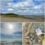 Hi Beg/Lo Intermed: Lieutenant Island, Wellfleet, 3.4-3.6 miles, Tuesday