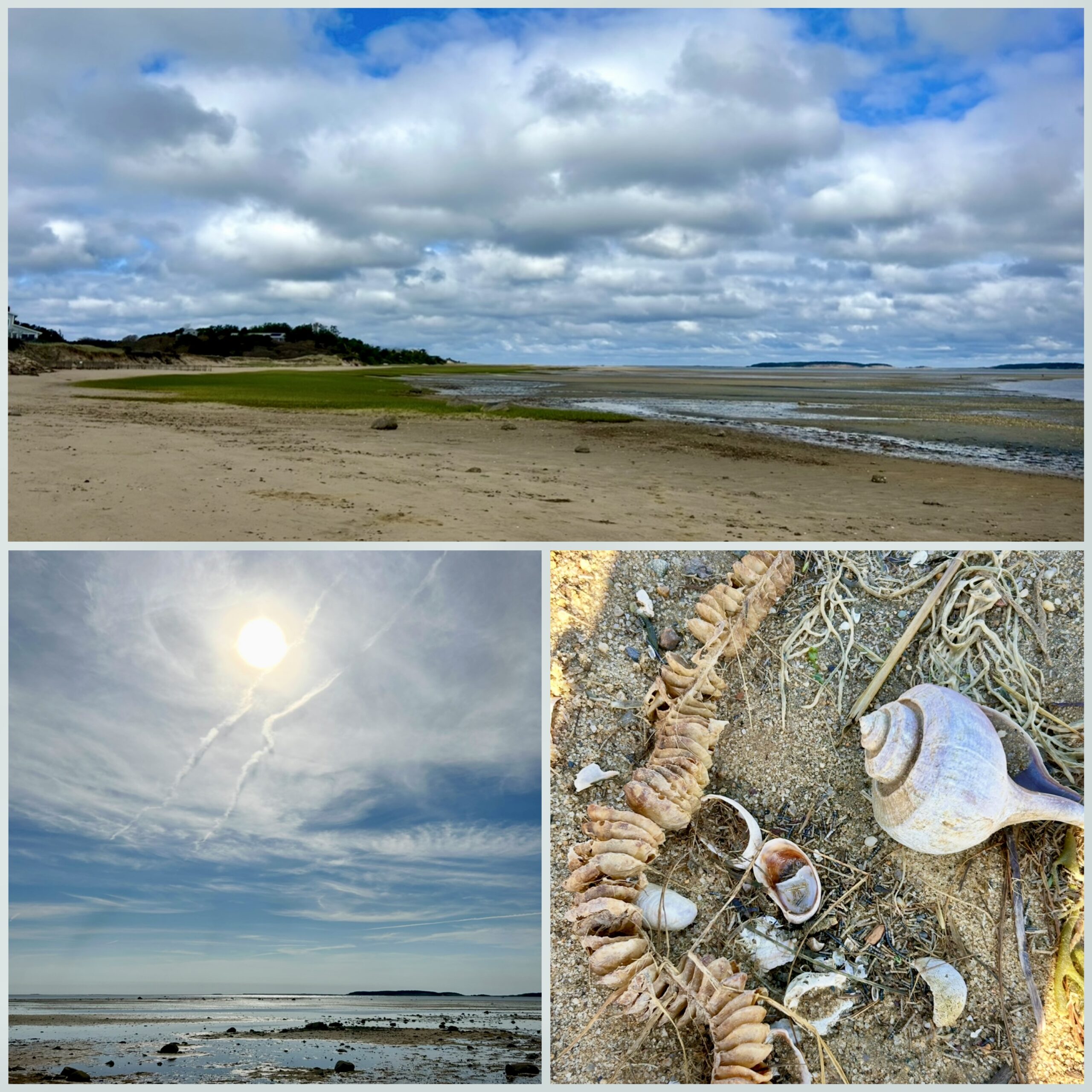 Hi Beg/Lo Intermed: Lieutenant Island, Wellfleet, 3.4-3.6 miles, Tuesday