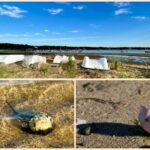 All Levels: Jackknife Cove on Pleasant Bay, Harwich, 2 miles, Thursday