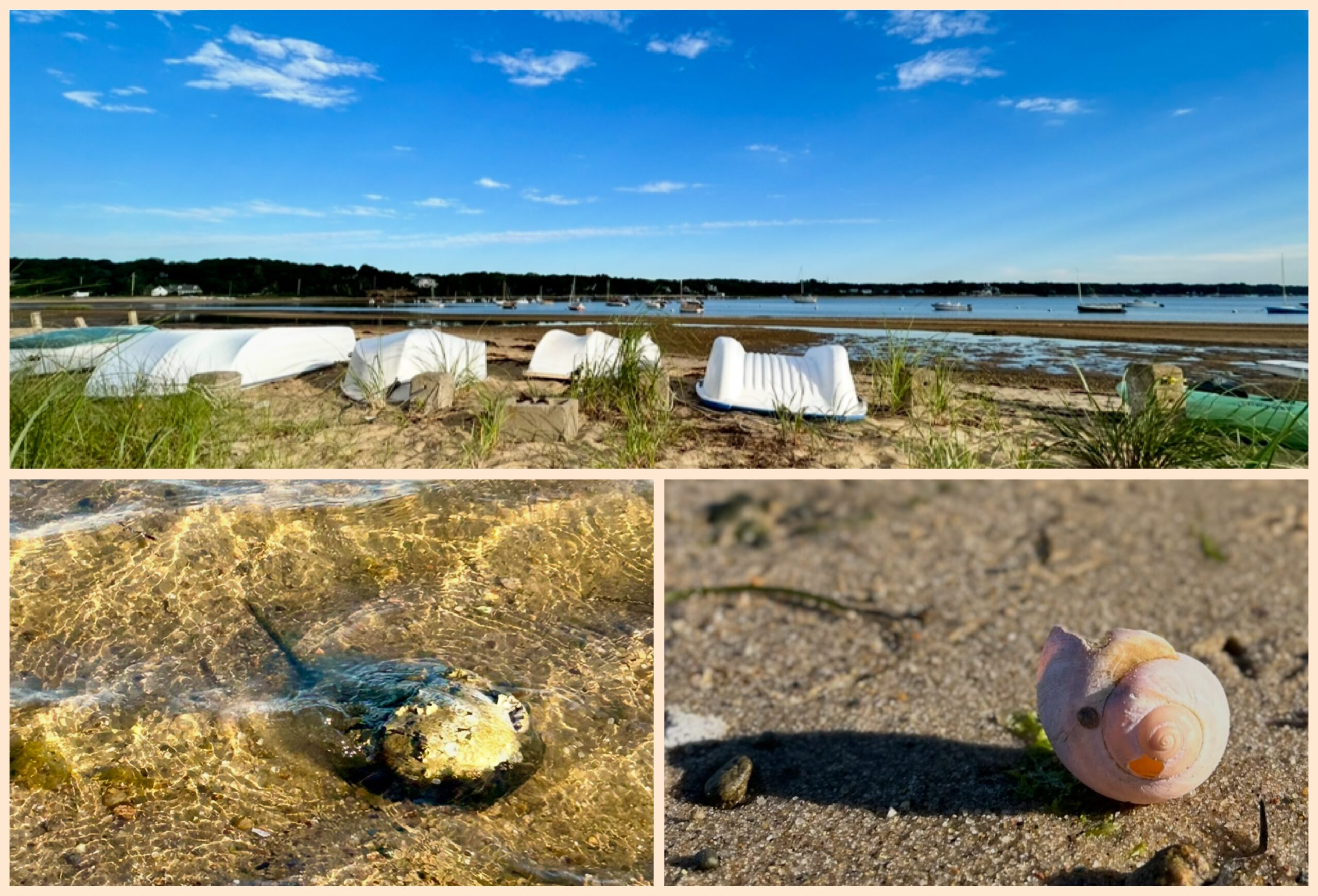 All Levels: Jackknife Cove on Pleasant Bay, Harwich, 2 miles, Thursday