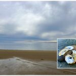 Intermediate: Indian Neck Beach to Blackfish Creek, Wellfleet, 3.2 miles, Saturday
