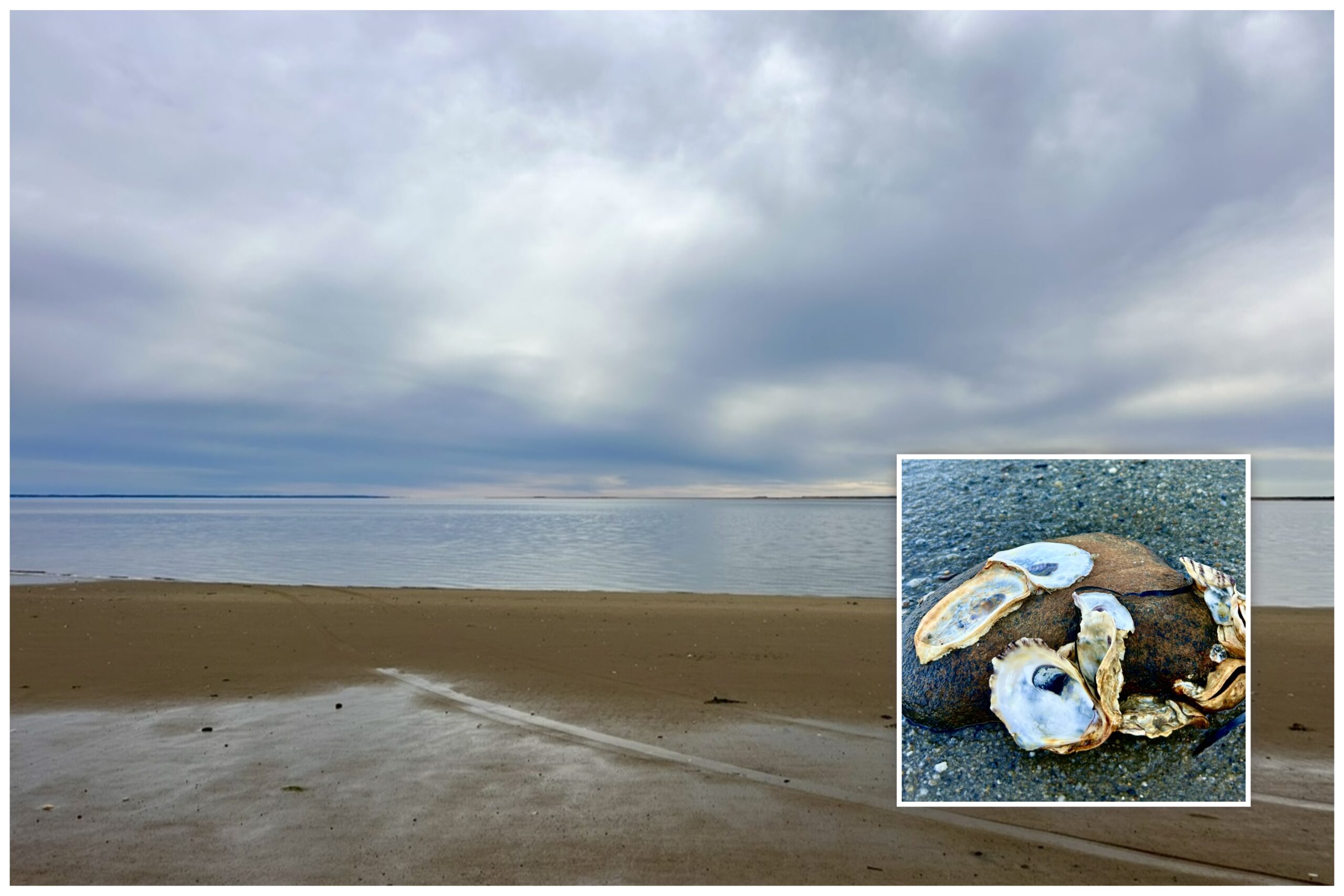 Intermediate: Indian Neck Beach to Blackfish Creek, Wellfleet, 3.2 miles, Saturday