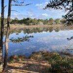 Intermediate/Advanced, Beech Forest-Provincelands VC & Race Point Beach, Provincetown, 4-4.5 mi (Tues 10/22)
