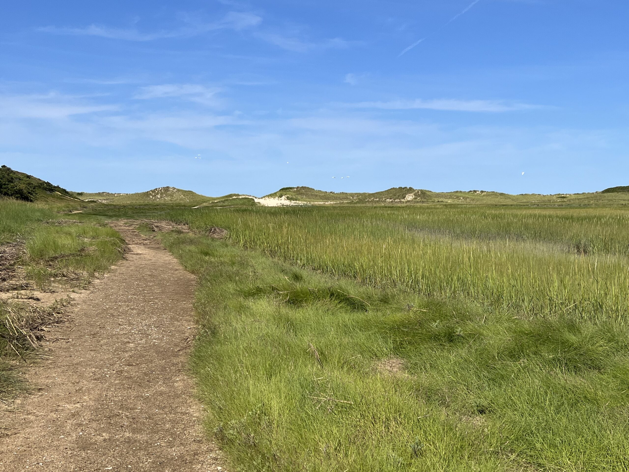 Intermediate: "The Gut" @ Great Island, Wellfleet, 3.45-3.75mi, (Thursday 10/1)