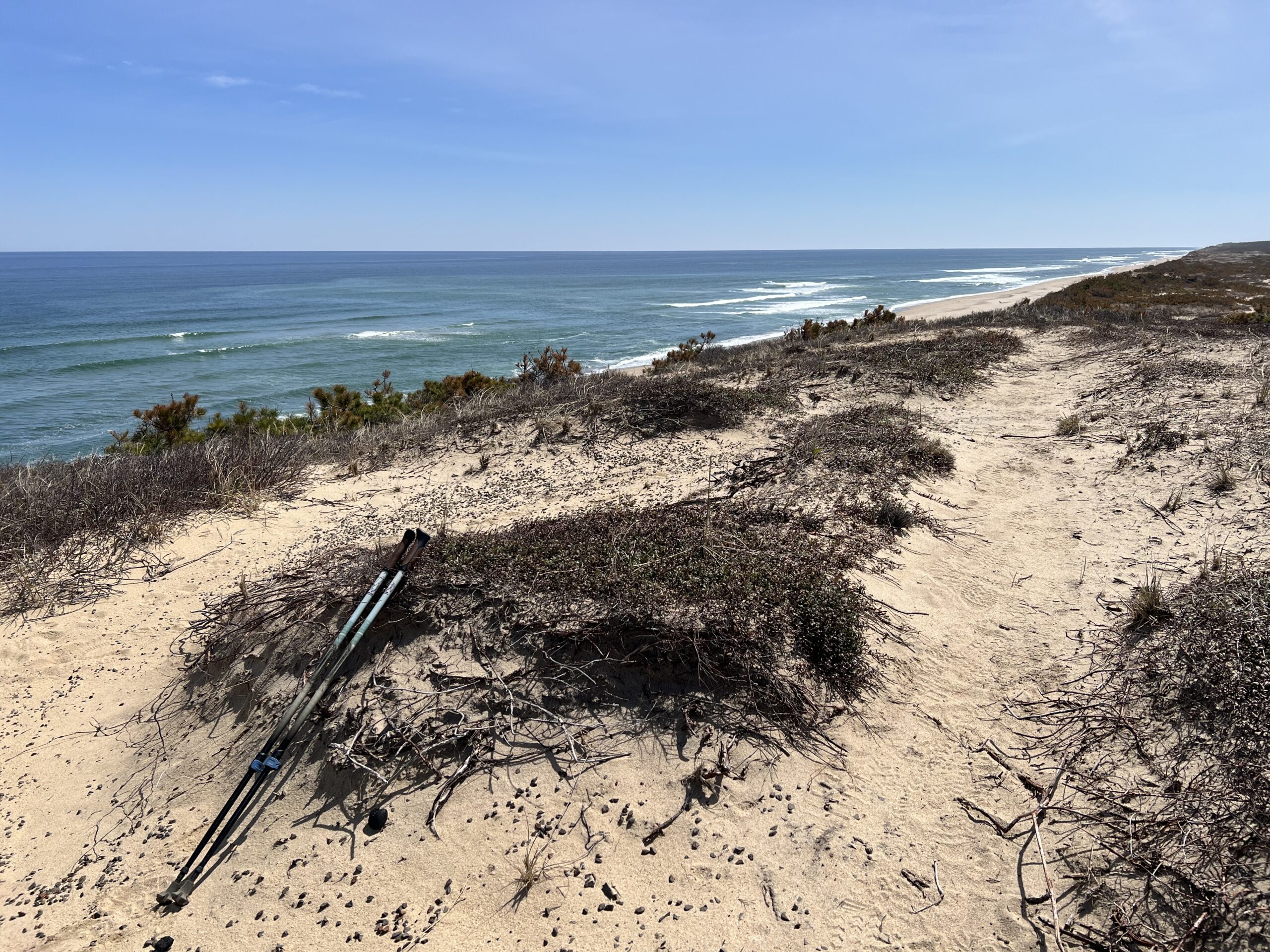 Intermediate-Advanced: Marconi Heathlands, Wellfleet, 3.8-4 miles (Monday 9/14)
