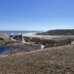 Intermediate: Ballston Beach-Pamet Trails, North Truro, 3-3.4 mi (Wednesday 10/14)