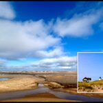 Intermediate: Hatches Harbor to Race Point Light, Provincetown, 3.5 miles, Wednesday