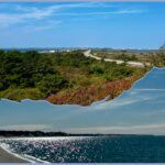 Hi Beg/Lo Intermed, Truro Treasures:  High Head Conservation Area and Bayside Beach, 2 or 3 miles, Saturday