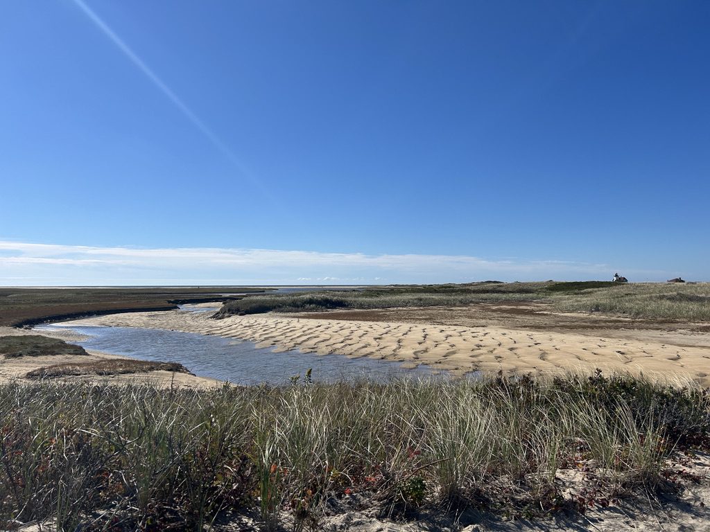 Intermediate, Hatches Harbor to Race Point Beach, Provincetown, ~3.5 miles, Friday