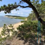 Intermediate/Advanced: Great Island, Wellfleet, ~4.5 miles (Tues 10/28)