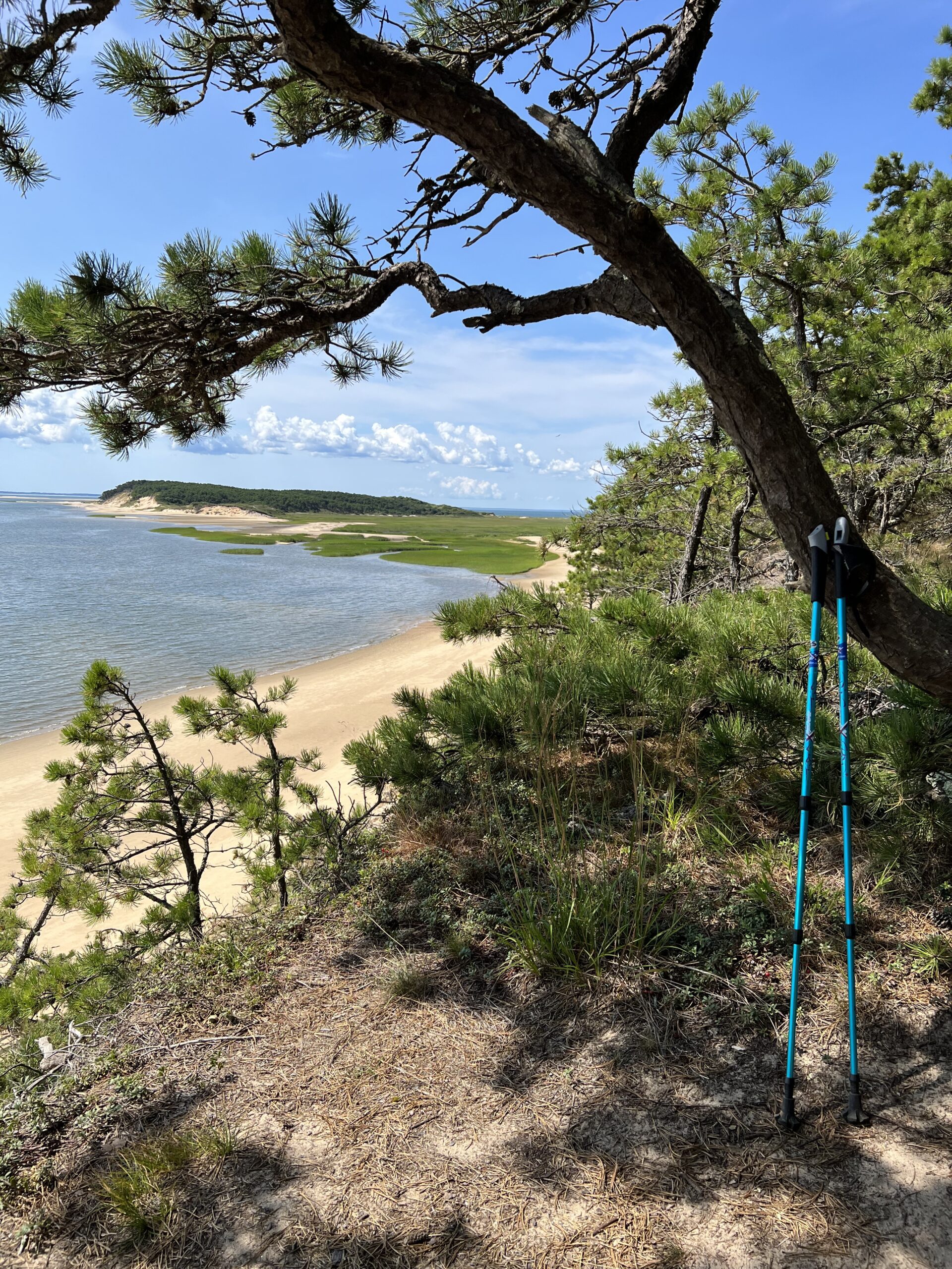 Intermediate/Advanced: Great Island, Wellfleet, ~4.5 miles (Tues 10/28)