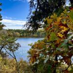 Intermed/Adv: Ponds & Pines, Hawksnest State Park, Harwich, 3 miles, Saturday